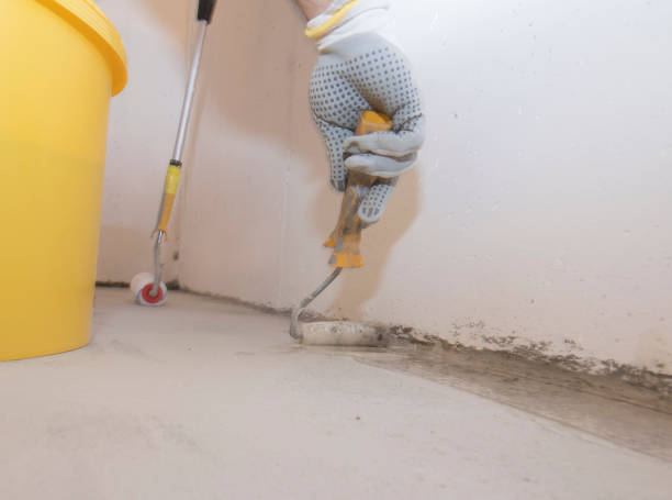 Best Pest Exclusion Services  in Britt, IA